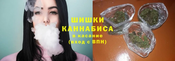 твердый Алзамай