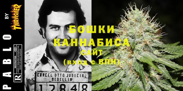 твердый Алзамай