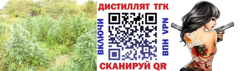 купить наркотик  МЕГА как зайти  Дистиллят ТГК THC oil  Карпинск 