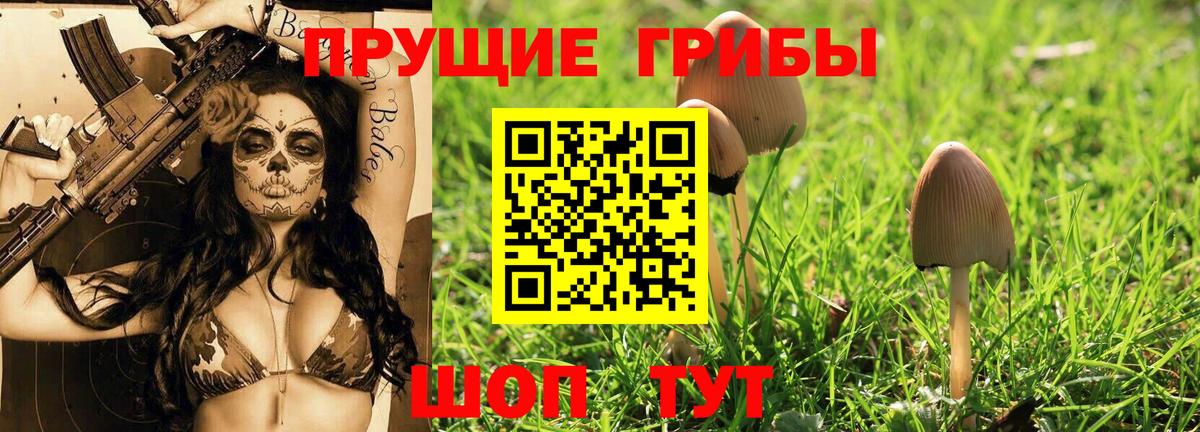 Карпинск  Псилоцибиновые грибы GOLDEN TEACHER  Псилоцибиновые грибы Psilocybine cubensis  Вход с VPN 